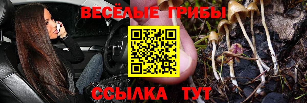 Галлюциногенные грибы Magic Shrooms Канск