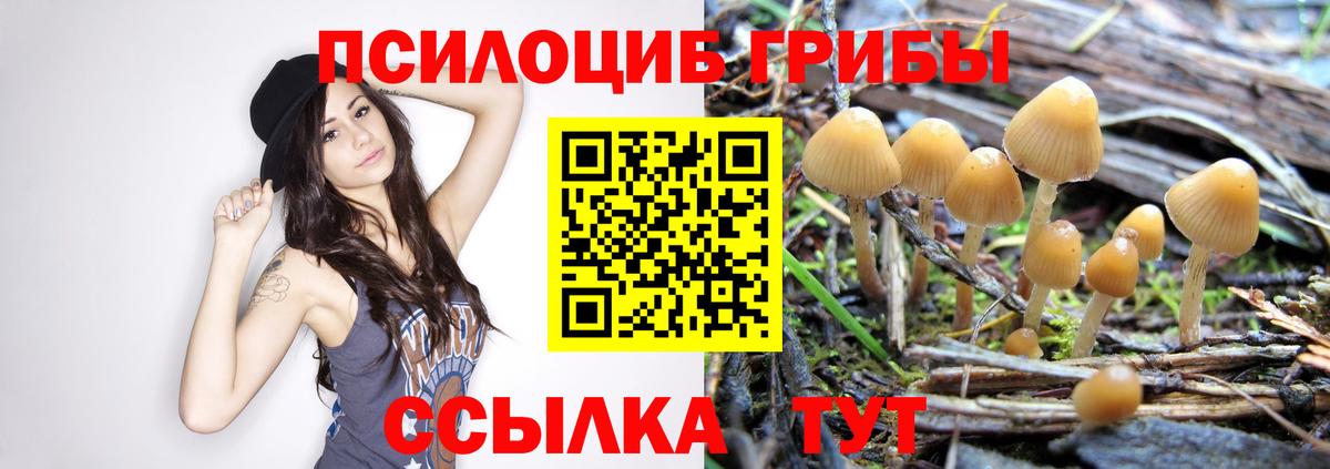 Канск  Псилоцибиновые грибы мицелий  Вход с VPN 